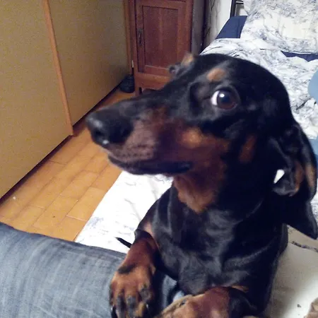 Marenghi Hotel Tabiano Terme